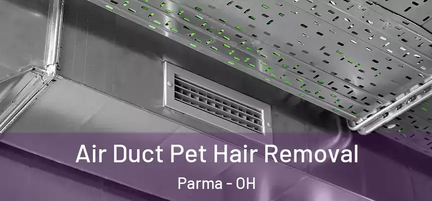 Air Duct Pet Hair Removal Parma - OH