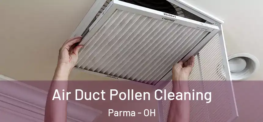 Air Duct Pollen Cleaning Parma - OH