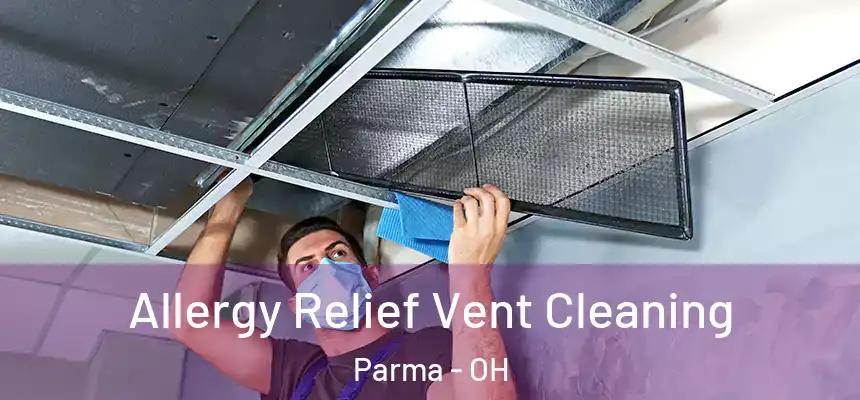 Allergy Relief Vent Cleaning Parma - OH