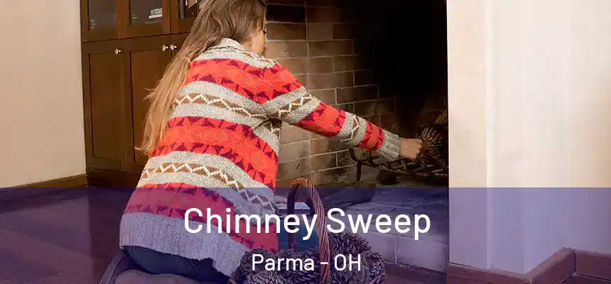  Chimney Sweep Parma - OH