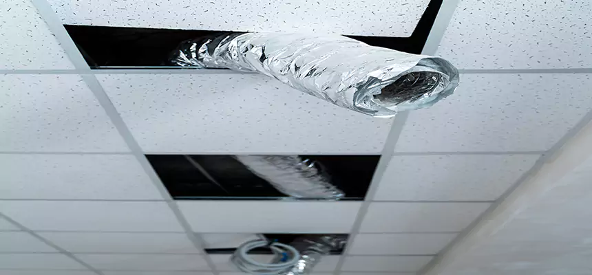 Our Air Duct Pet Hair Removal Services in Parma, OH