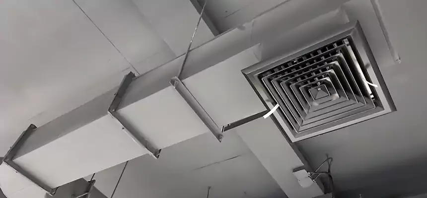 Our Pest Removal From Ducts Services in Parma, OH