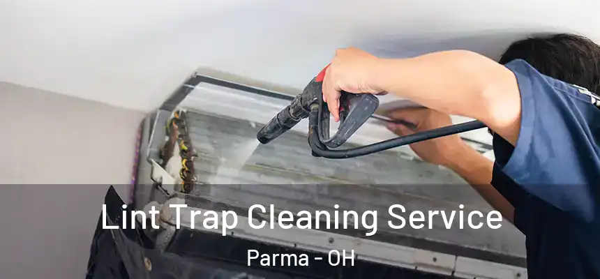 Lint Trap Cleaning Service Parma - OH