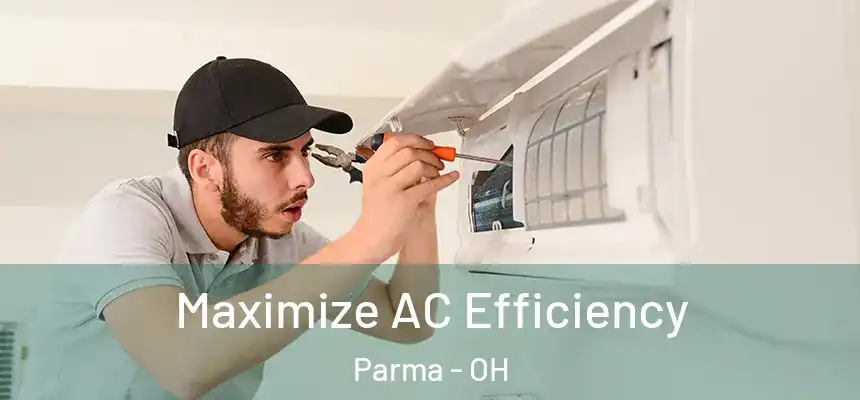 Maximize AC Efficiency Parma - OH
