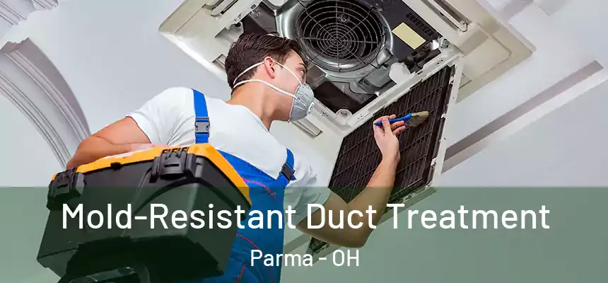  Mold-Resistant Duct Treatment Parma - OH
