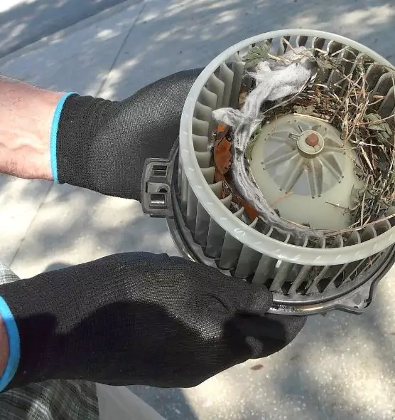 About Air Duct Mice Removal in Parma, OH