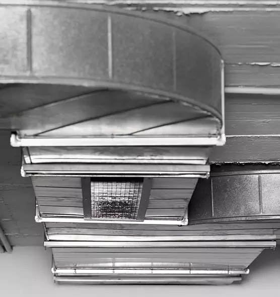 Professional Air Duct Pest Removal in Parma, OH