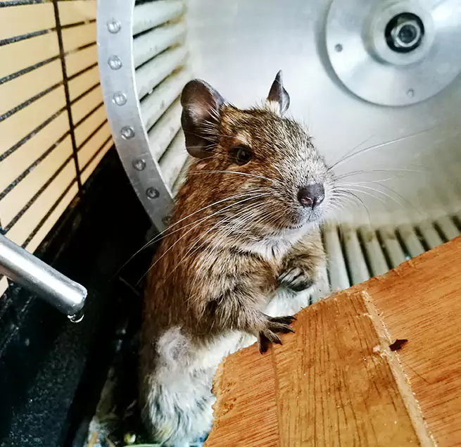 Why Homeowners & Businesses Trust Us Parma, OH